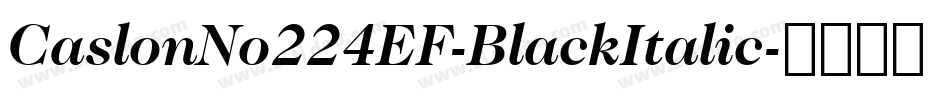 CaslonNo224EF-BlackItalic字体转换