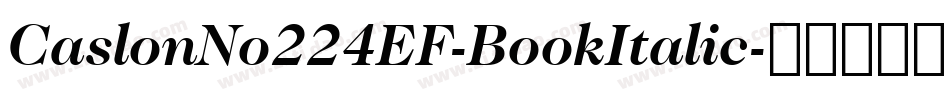CaslonNo224EF-BookItalic字体转换