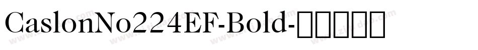 CaslonNo224EF-Bold字体转换