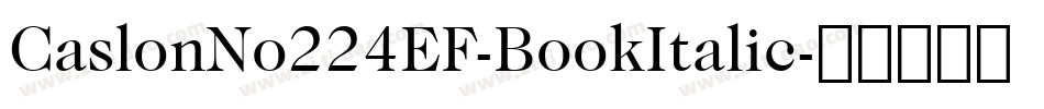 CaslonNo224EF-BookItalic字体转换