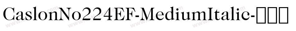 CaslonNo224EF-MediumItalic字体转换