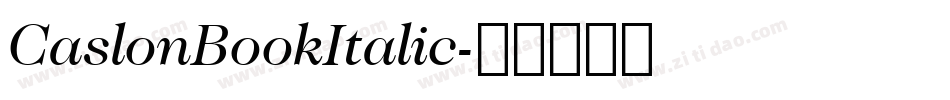 CaslonBookItalic字体转换