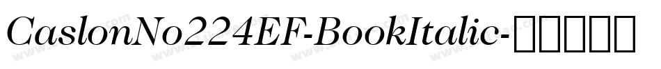 CaslonNo224EF-BookItalic字体转换