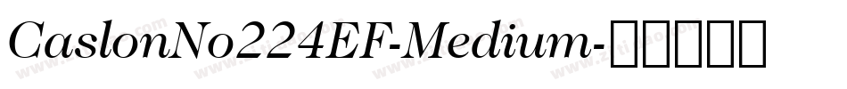 CaslonNo224EF-Medium字体转换