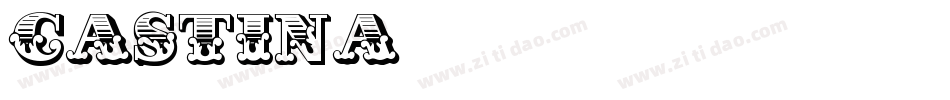 Castina字体转换