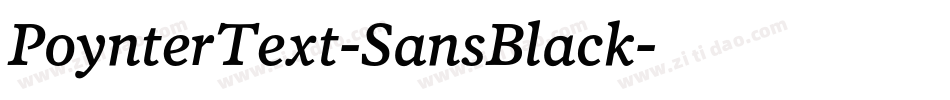 PoynterText-SansBlack字体转换