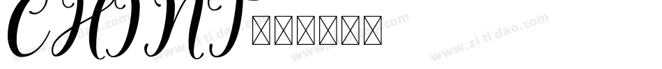 CHINT字体转换