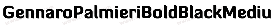 GennaroPalmieriBoldBlackMedium-qpw0字体转换 GennaroPalmieriBoldBlackMedium-qpw0字体转换