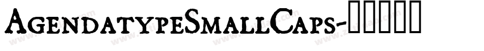 AgendatypeSmallCaps字体转换