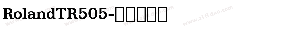 RolandTR505字体转换