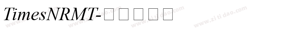 TimesNRMT字体转换