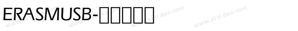 ERASMUSB字体转换