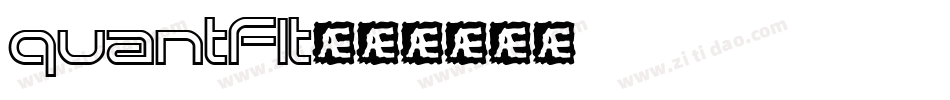quantflt字体转换
