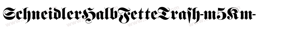 SchneidlerHalbFetteTrash-m5Km字体转换