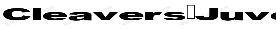 Cleavers_Juvenia_Heavy字体转换