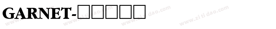 GARNET字体转换