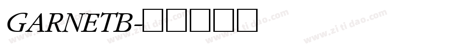 GARNETB字体转换