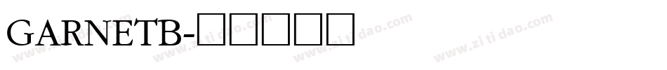 GARNETB字体转换