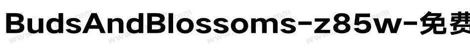 BudsAndBlossoms-z85w字体转换