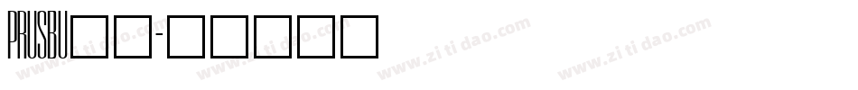 PRUSBU__字体转换