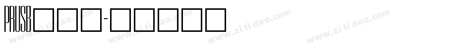 PRUSB___字体转换