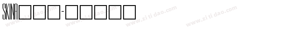 SKINA___字体转换