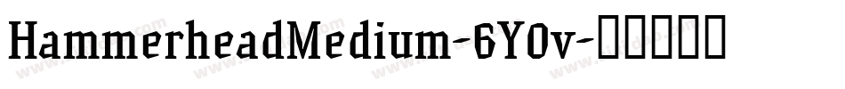 HammerheadMedium-6Y0v字体转换
