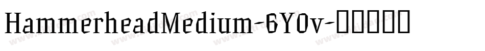 HammerheadMedium-6Y0v字体转换