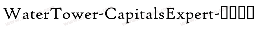 WaterTower-CapitalsExpert字体转换