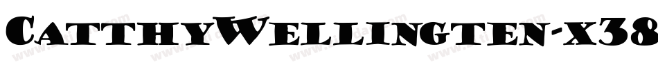 CatthyWellingten-x38p8字体转换