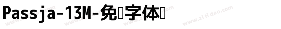 Passja-13M字体转换