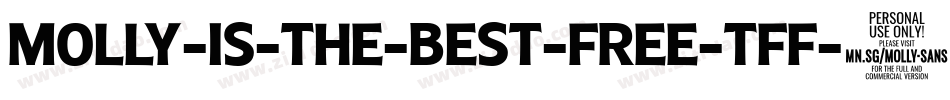 molly-is-the-best-free-TFF-2字体转换