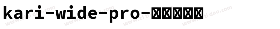 kari-wide-pro字体转换