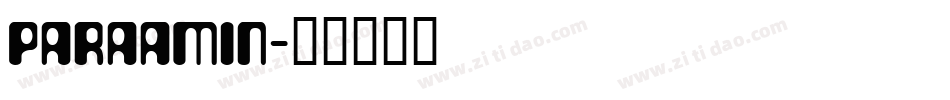PARAAMIN字体转换