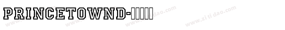 PrincetownD字体转换