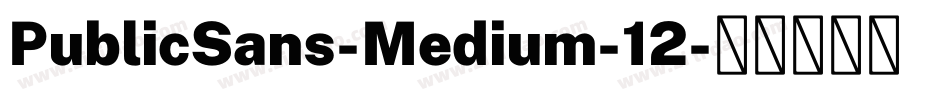 PublicSans-Medium-12字体转换
