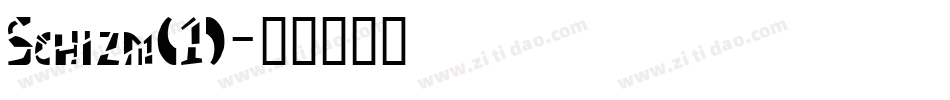 Schizm(1)字体转换