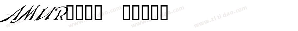 AMUR____字体转换