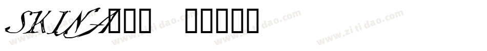 SKINA___字体转换