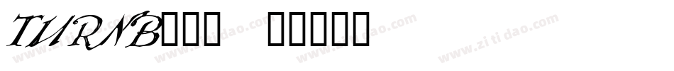 TURNB___字体转换