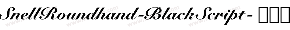 SnellRoundhand-BlackScript字体转换