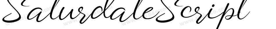 Saturdate-Script字体转换