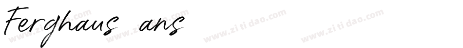 Ferghaus-Sans-DEMO-2字体转换