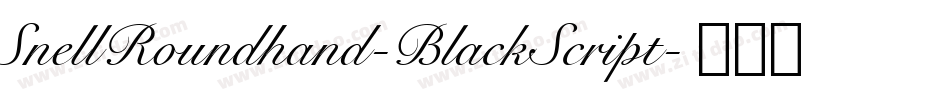 SnellRoundhand-BlackScript字体转换
