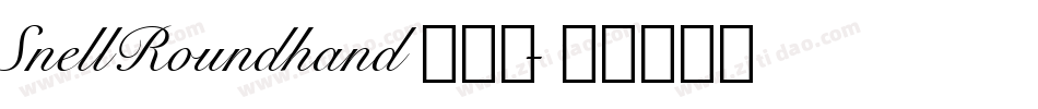 SnellRoundhand手机版字体转换