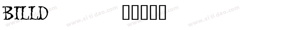 BILLD___字体转换