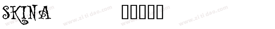 SKINA___字体转换