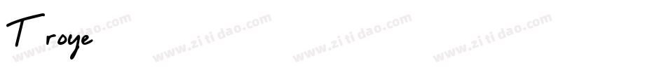 Troye字体转换