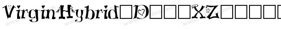 VirginHybrid3D-17XZ字体转换