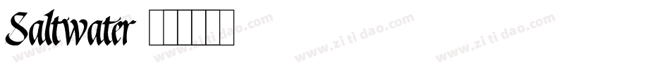 Saltwater字体转换